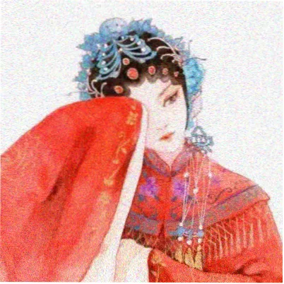 观众拾光者的头像